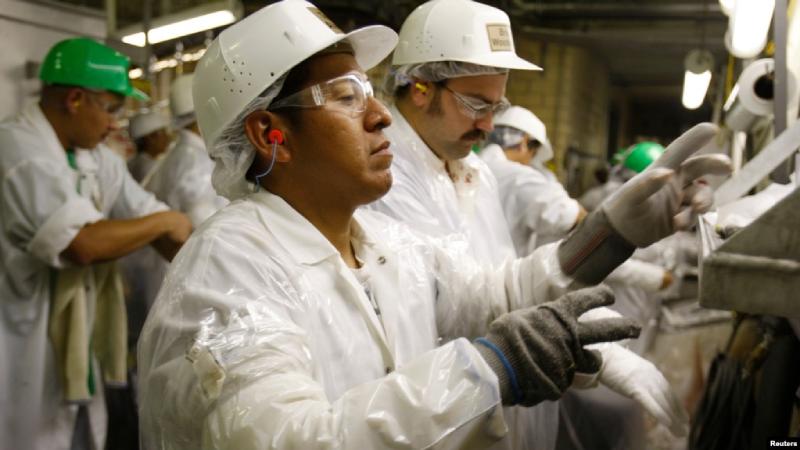 "Hacemos la gran diferencia”: Migrantes indocumentados, rechazados en Florida pero una mano de obra que crece en Texas Migrantes indocumentados