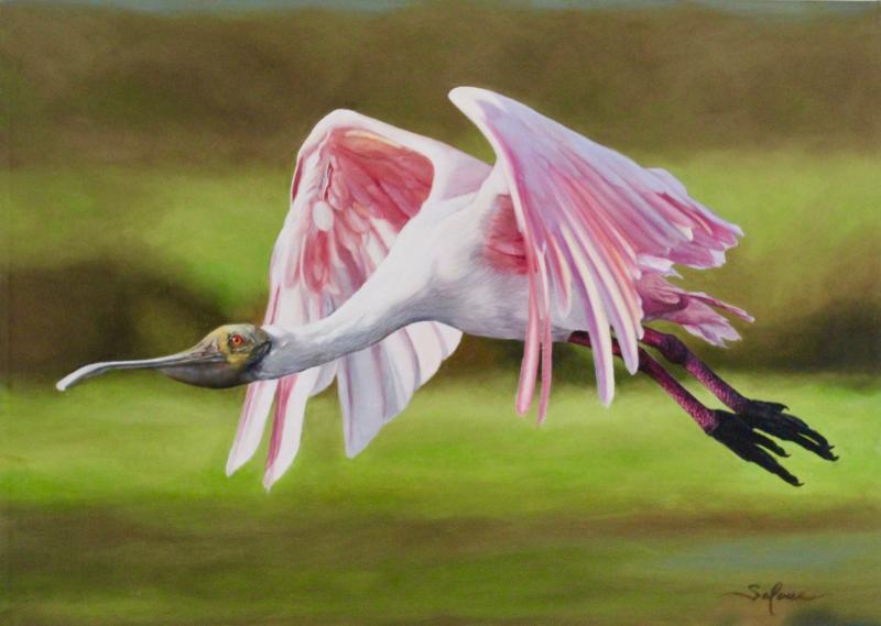 El vuelo de la paleta.