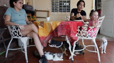 Código de Familia de Cuba